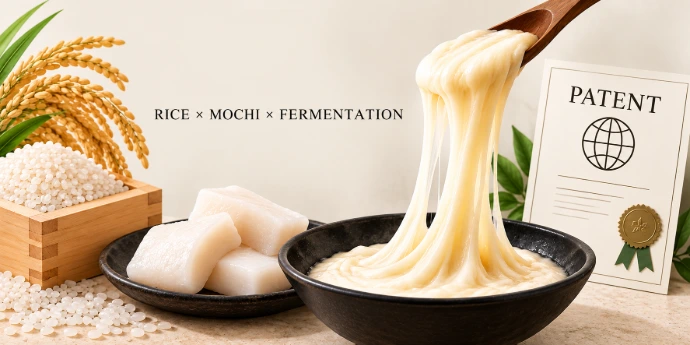 NEWO CHEESE rice and fermentation technology